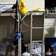 Illustration for article titled Hopeless Foxconn Workers Are Making the iPhone 5